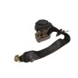 Cintura di sicurezza Posteriore DX AUDI A3 Serie 8L1 dal 96 al 03