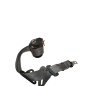 Cintura di sicurezza Posteriore DX RENAULT Scenic 3° Serie