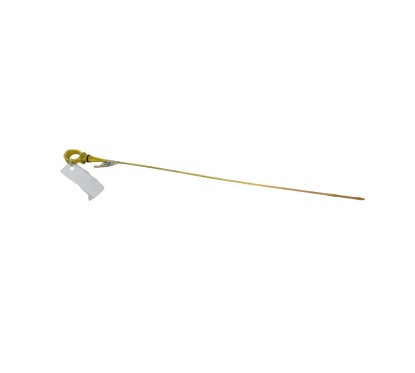 Astina livello olio motore CITROEN C2 1° Serie - 1174G3 - 3352796
