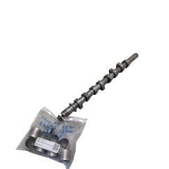 Albero a camme RENAULT Clio Serie dal 01 al 05