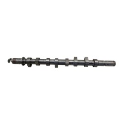 Albero a camme RENAULT Clio Serie dal 01 al 05