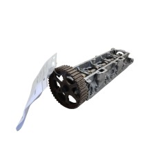 Coperchio Punterie CITROEN C2 1° Serie