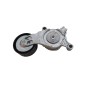 Tendicinghia CITROEN C2 1° Serie